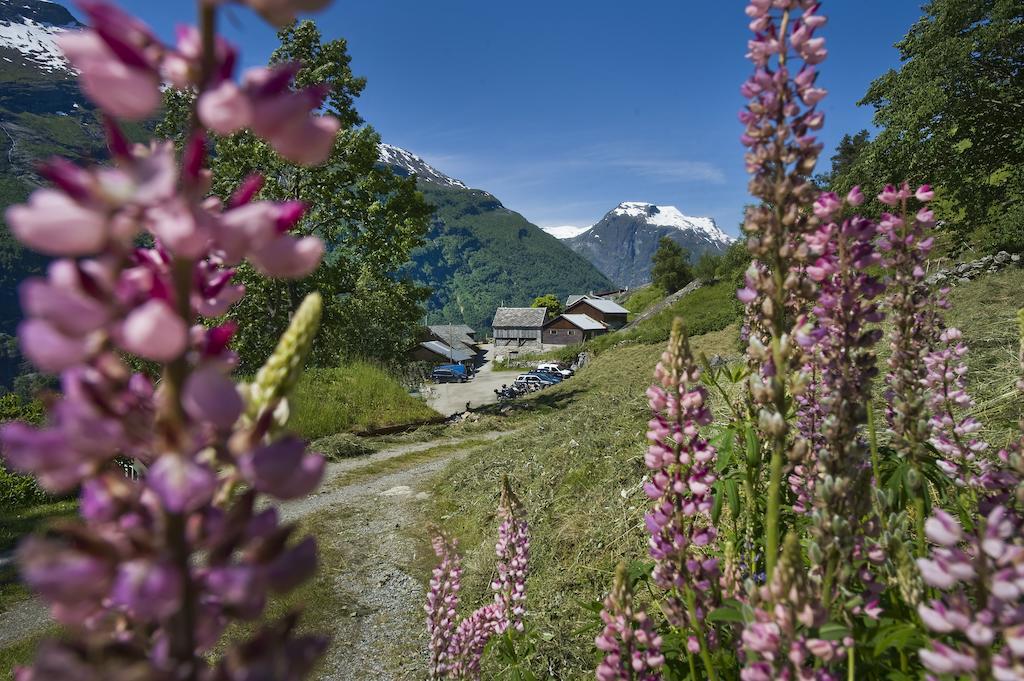 Westeras Gard Geiranger Exterior photo